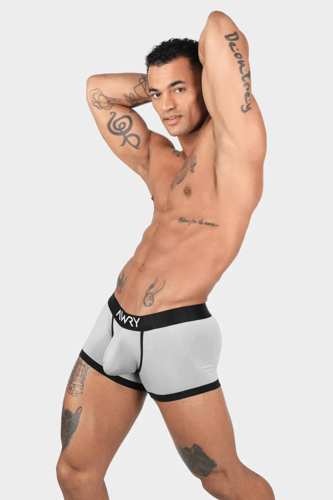 STANDOUT Trunks V2 - Gray - Image 2